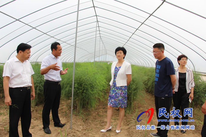縣人大常委會主任周燕到雙塔鎮(zhèn)調研脫貧攻堅工作 縣人大常委會主任周燕到雙塔鎮(zhèn)調研脫貧攻堅工作