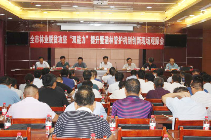 全市林業(yè)脫貧攻堅(jiān)“雙能力”提升暨造林管護(hù)機(jī)制創(chuàng)新現(xiàn)場觀摩會在我縣召開 全市林業(yè)脫貧攻堅(jiān)“雙能力”提升暨造林管護(hù)機(jī)制創(chuàng)新現(xiàn)場觀摩會在我縣召開