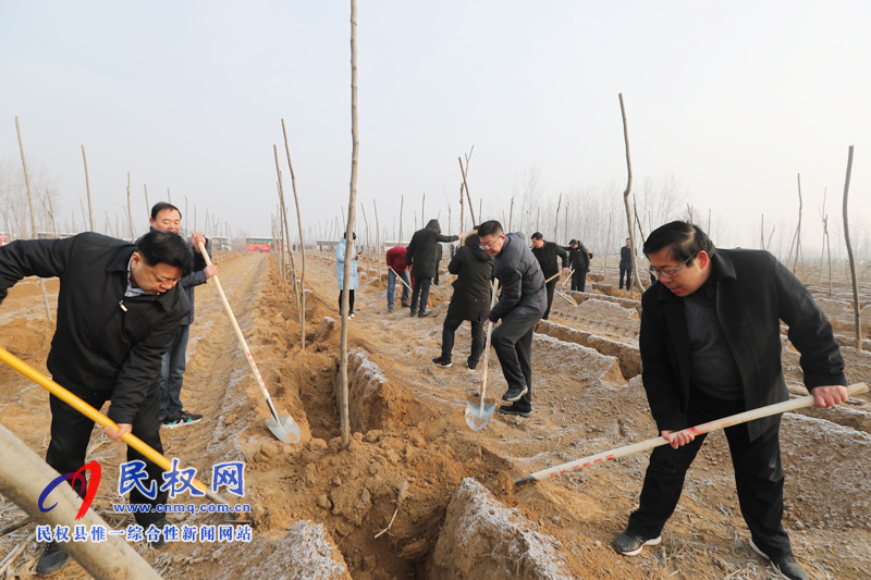 縣領(lǐng)導(dǎo)新春植樹(shù)添新綠