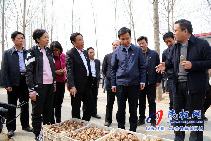 共植媒體林 同迎故道春——省委常委、宣傳部長江凌蒞民植新綠、造“媒林”