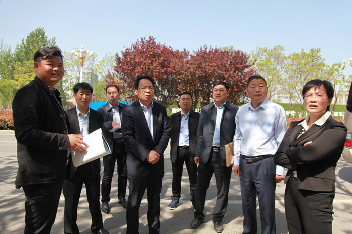 縣委常委、常務(wù)副縣長李啟峰查看我縣城區(qū)綠化工作進(jìn)展情況