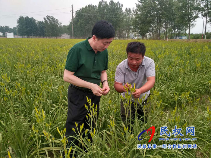 縣委常委、副縣長房季到孫六鎮(zhèn)劉炳莊村檢查調(diào)研扶貧工作
