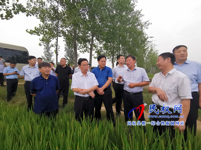 市人大常委會副主任、縣委書記姬脈常調(diào)研我縣稻漁綜合種養(yǎng)工作