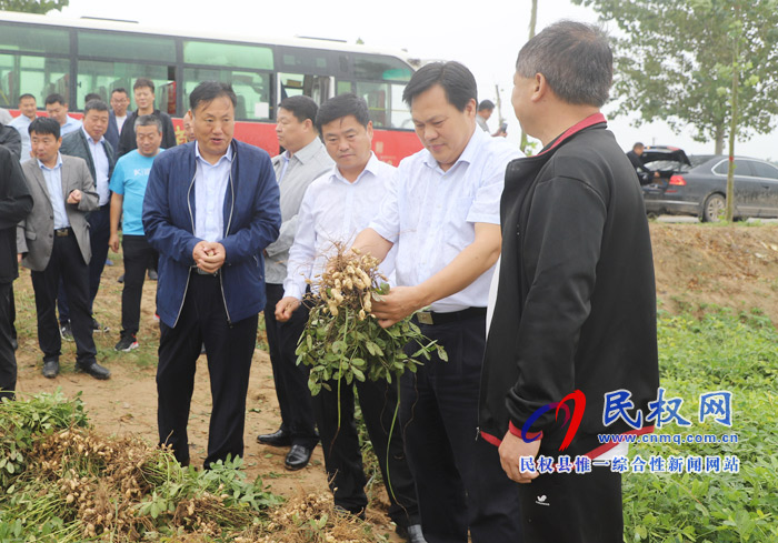 民權(quán):莊稼地里 慶國(guó)慶 話豐收 民權(quán):莊稼地里 慶國(guó)慶 話豐收