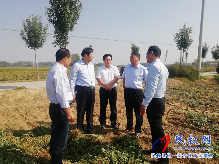 省農(nóng)業(yè)農(nóng)村廳黨組成員、總農(nóng)藝師王俊忠到雙塔鎮(zhèn)檢查指導“三秋”生產(chǎn)工作