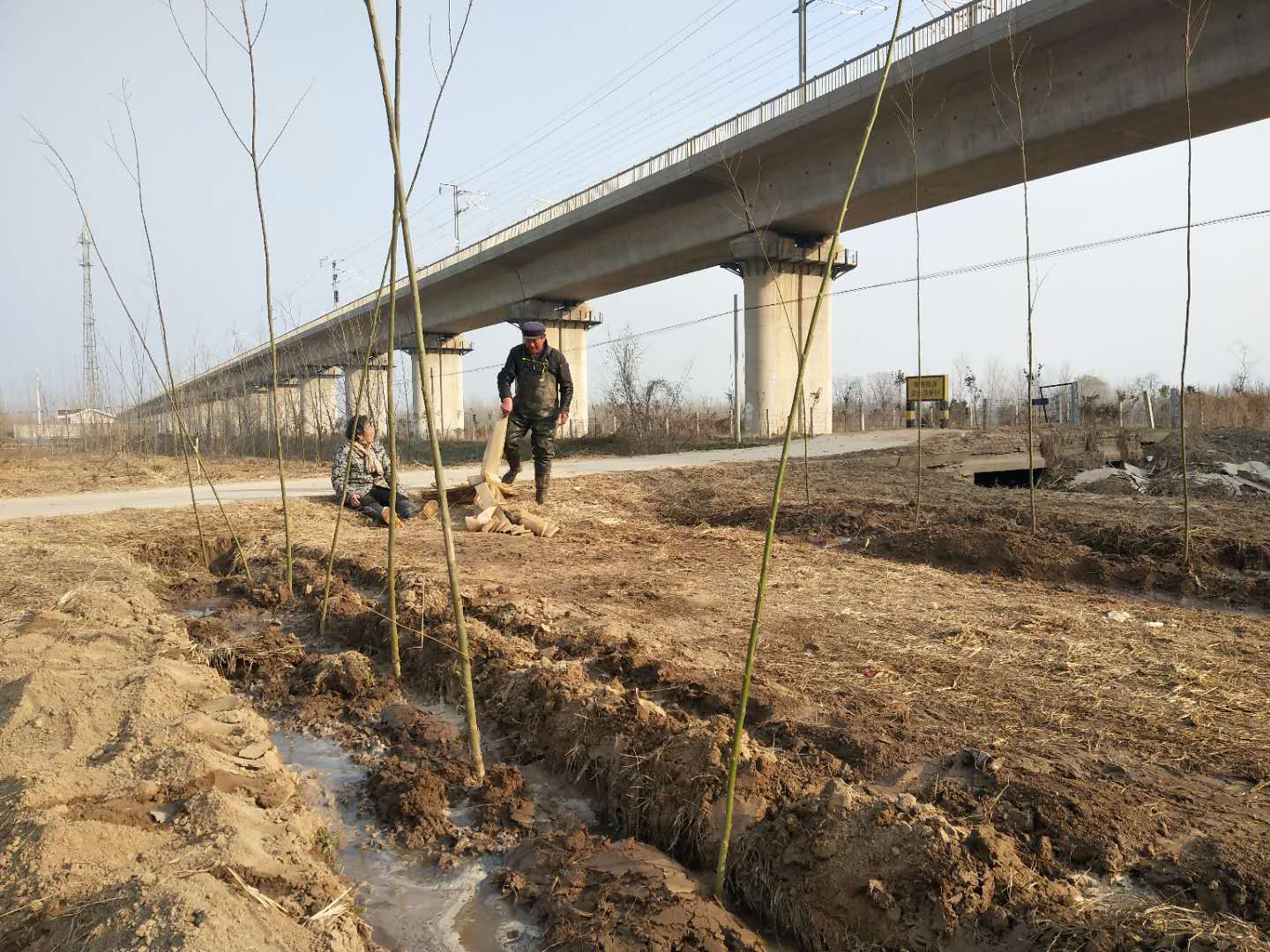 野崗鎮(zhèn):澆好成活水 護(hù)好生態(tài)林 野崗鎮(zhèn):澆好成活水 護(hù)好生態(tài)林