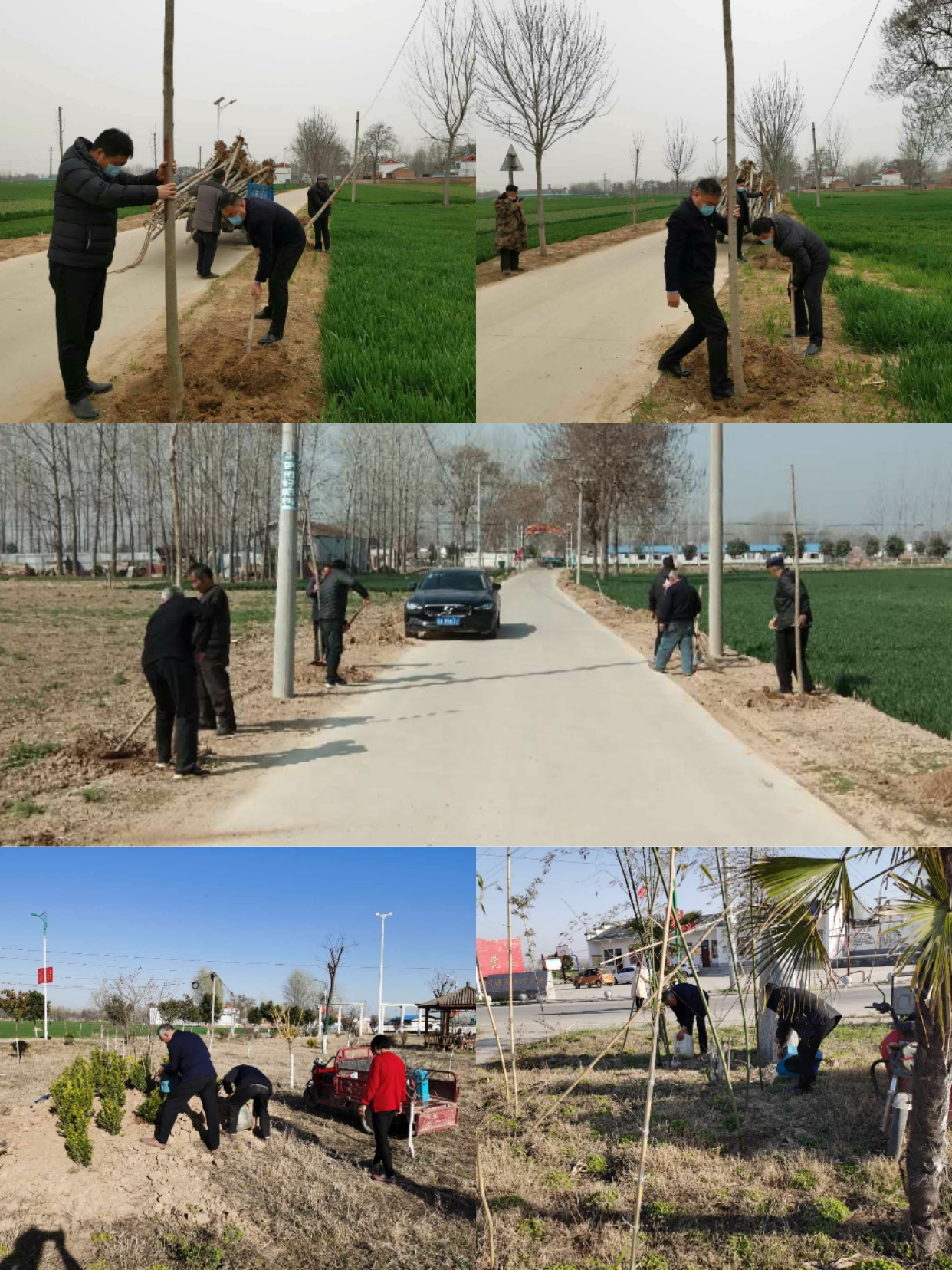 胡集鄉(xiāng)：推進國土綠化 建設美麗家園 不負春光植樹忙