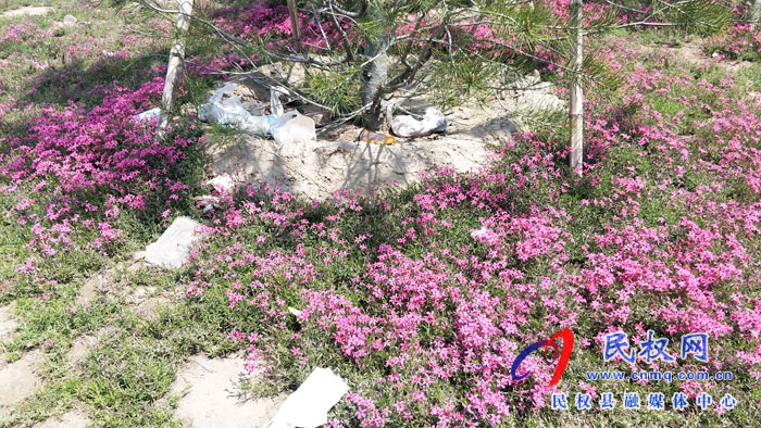 【不文明行為曝光臺】市民觀景不文明 城市環(huán)境“小受傷” 【不文明行為曝光臺】市民觀景不文明 城市環(huán)境“小受傷”