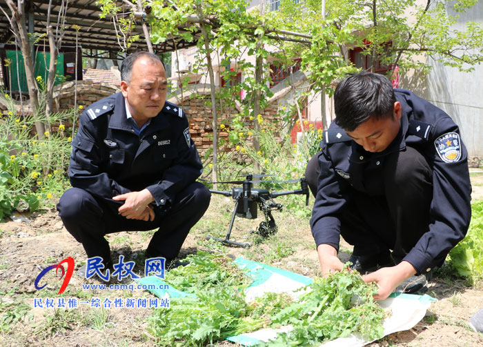 無人機撒下“天網” 毒罌粟無處遁形 無人機撒下“天網” 毒罌粟無處遁形