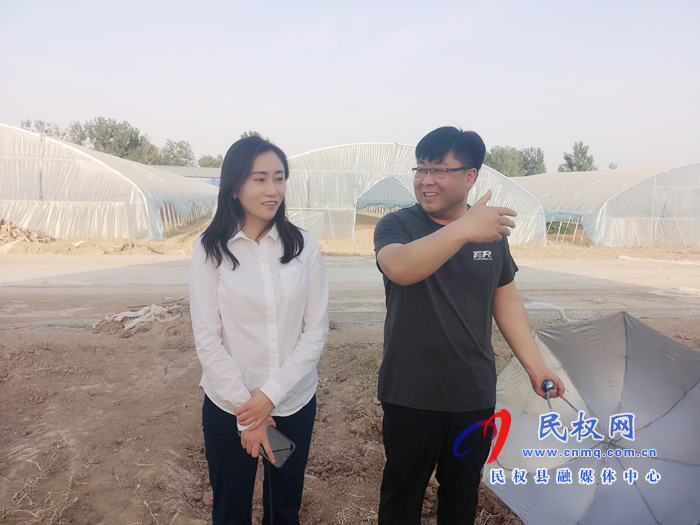 副縣長朱琳到老顏集鄉(xiāng)調(diào)研指導(dǎo)三夏生產(chǎn)、產(chǎn)業(yè)發(fā)展工作