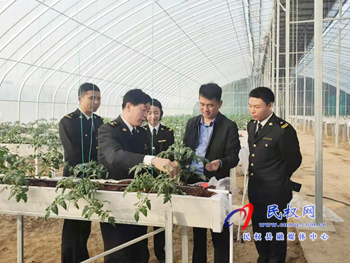 縣委常委、副縣長房季到雙塔鎮(zhèn)蘆筍大棚產(chǎn)業(yè)園調(diào)研產(chǎn)業(yè)發(fā)展