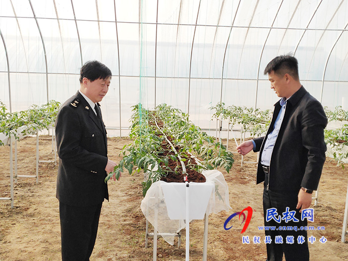 縣委常委、副縣長房季到雙塔鎮(zhèn)蘆筍大棚產(chǎn)業(yè)園調(diào)研產(chǎn)業(yè)發(fā)展