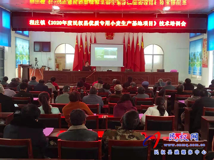 程莊鎮(zhèn)召開2020年度民權縣優(yōu)質專用小麥生產基地項目技術培訓會 程莊鎮(zhèn)召開2020年度民權縣優(yōu)質專用小麥生產基地項目技術培訓會