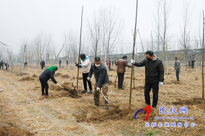 人和鎮(zhèn)組織開(kāi)展義務(wù)植樹(shù)活動(dòng) 人和鎮(zhèn)組織開(kāi)展義務(wù)植樹(shù)活動(dòng)