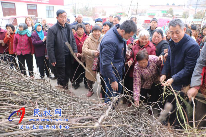 商丘日?qǐng)?bào)社:為群眾免費(fèi)發(fā)放樹苗 助力鄉(xiāng)村振興 商丘日?qǐng)?bào)社:為群眾免費(fèi)發(fā)放樹苗 助力鄉(xiāng)村振興