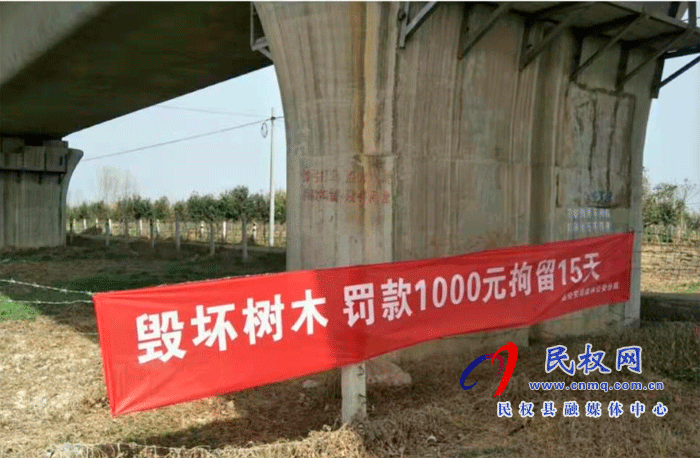 林業(yè)發(fā)展服務(wù)中心開(kāi)展打擊破壞森林資源專項(xiàng)行動(dòng) 林業(yè)發(fā)展服務(wù)中心開(kāi)展打擊破壞森林資源專項(xiàng)行動(dòng)