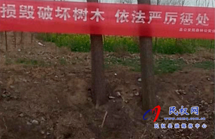 林業(yè)發(fā)展服務(wù)中心開(kāi)展打擊破壞森林資源專項(xiàng)行動(dòng) 林業(yè)發(fā)展服務(wù)中心開(kāi)展打擊破壞森林資源專項(xiàng)行動(dòng)