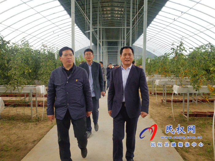 市農(nóng)業(yè)經(jīng)濟作物技術(shù)推廣中心主任張傳紅一行到雙塔鎮(zhèn)調(diào)研 市農(nóng)業(yè)經(jīng)濟作物技術(shù)推廣中心主任張傳紅一行到雙塔鎮(zhèn)調(diào)研
