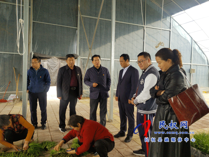 市農(nóng)業(yè)經(jīng)濟作物技術(shù)推廣中心主任張傳紅一行到雙塔鎮(zhèn)調(diào)研 市農(nóng)業(yè)經(jīng)濟作物技術(shù)推廣中心主任張傳紅一行到雙塔鎮(zhèn)調(diào)研