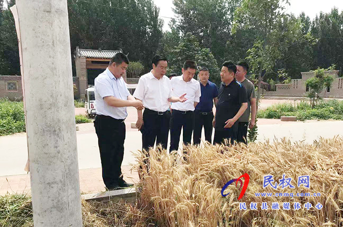 市人大常委會(huì)副主任、縣委書記姬脈常到我縣部分鄉(xiāng)鎮(zhèn)查看“三夏”生產(chǎn)工作