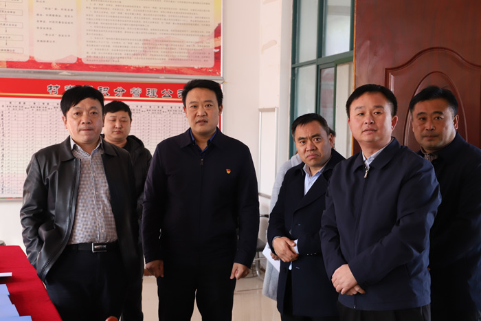 縣委常委、組織部長王義彬到林七鄉(xiāng)調(diào)研督導(dǎo)鞏固拓展脫貧攻堅(jiān)成果后評(píng)估工作