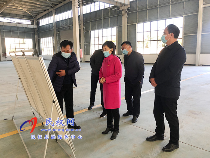 縣委副書記、縣長王靜嫻查看省市縣重點民生實事、重點項目和“三個一批”項目進展情況