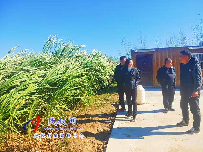 副縣長朱琳到老顏集鄉(xiāng)調(diào)研撤村并居、產(chǎn)業(yè)發(fā)展等工作