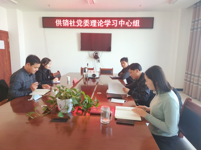 縣黨史學(xué)習(xí)教育巡回指導(dǎo)組到供銷社嚴(yán)督實導(dǎo)