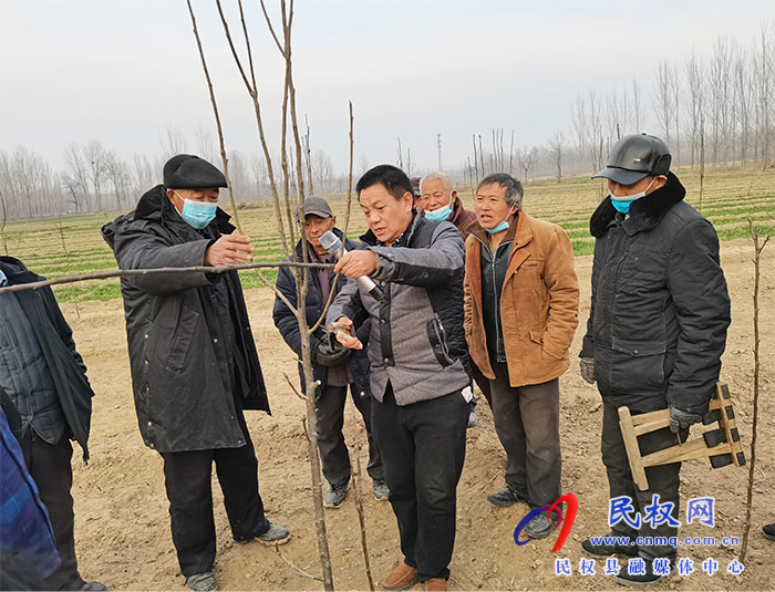 園藝站緊抓果樹春節(jié)管理 力爭奪取全年果品豐產豐收