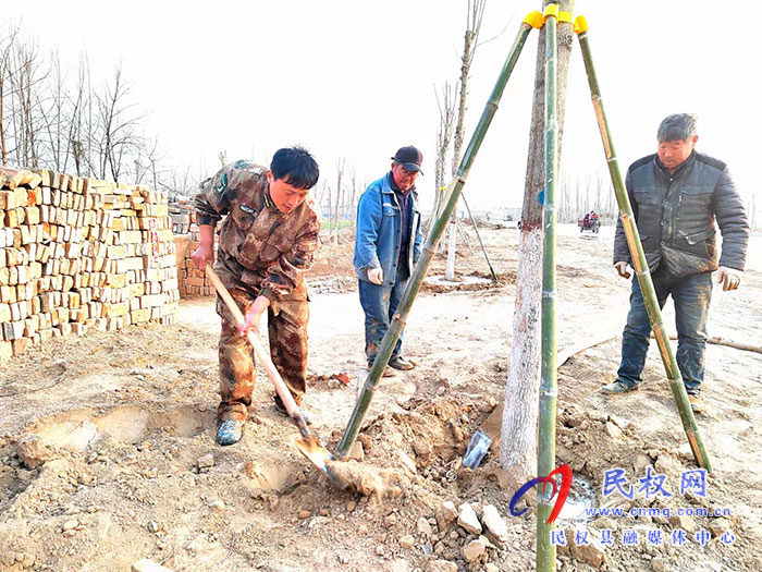 白云寺鎮(zhèn):植樹添新綠，不負好春光