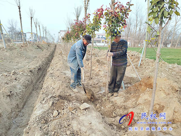 白云寺鎮(zhèn):植樹添新綠，不負好春光