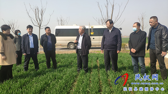 省農(nóng)業(yè)農(nóng)村廳黨組成員、副廳長王俊忠到民調(diào)研春季麥田管理工作