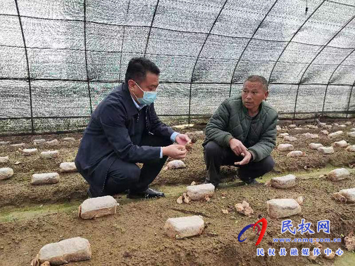 縣高新區(qū)管委會副主任張玉棟到龍?zhí)伶?zhèn)督導(dǎo)疫情防控、“三零創(chuàng)建”等重點(diǎn)工作