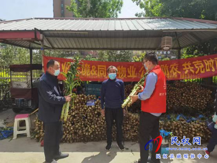 建業(yè)天境攜手建業(yè)新筑愛心傳遞萬(wàn)余斤新鮮蔬菜送進(jìn)尋常百姓家