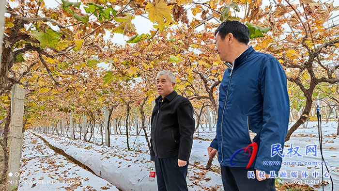 小菌菇 大能量——林下種植菌菇，助推鄉(xiāng)村振興