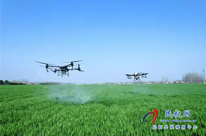 王橋鎮(zhèn)：無人機(jī)賦能，助力小麥“一噴三防”