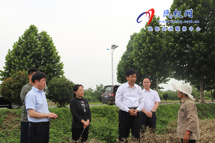 市委常委、常務(wù)副市長(zhǎng)薛鳳林到民調(diào)研“三夏”生產(chǎn)工作及高考考務(wù)工作