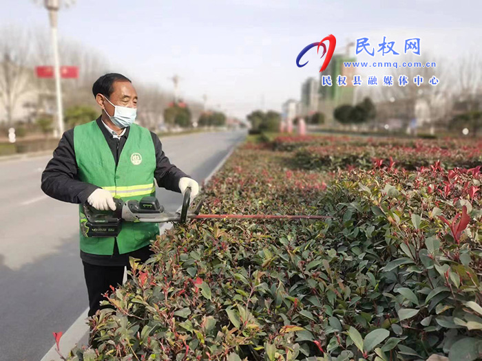 栽花種草植樹(shù)忙 為城市增顏美容