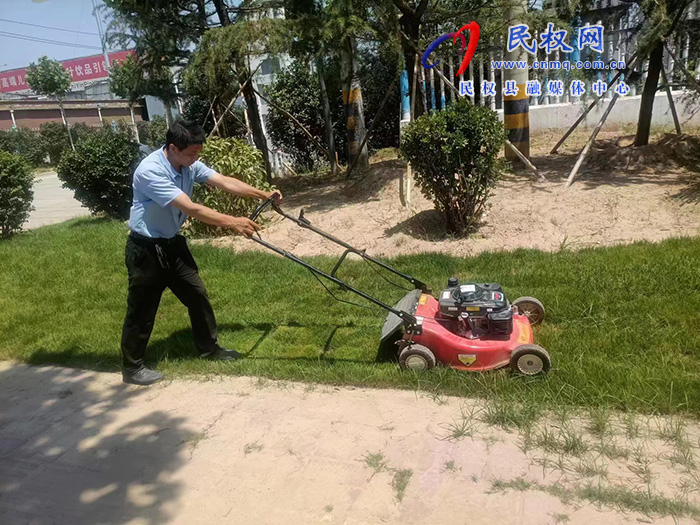 栽花種草植樹(shù)忙 為城市增顏美容