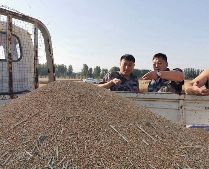 莊子鎮(zhèn)：慰問(wèn)跨區(qū)作業(yè)機(jī)手，真情服務(wù)“三夏”農(nóng)忙