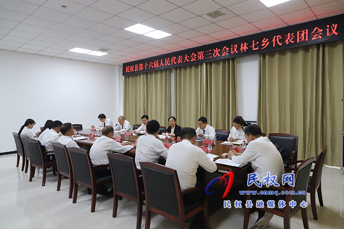 縣委書記、縣長王靜嫻參加林七鄉(xiāng)代表團審議