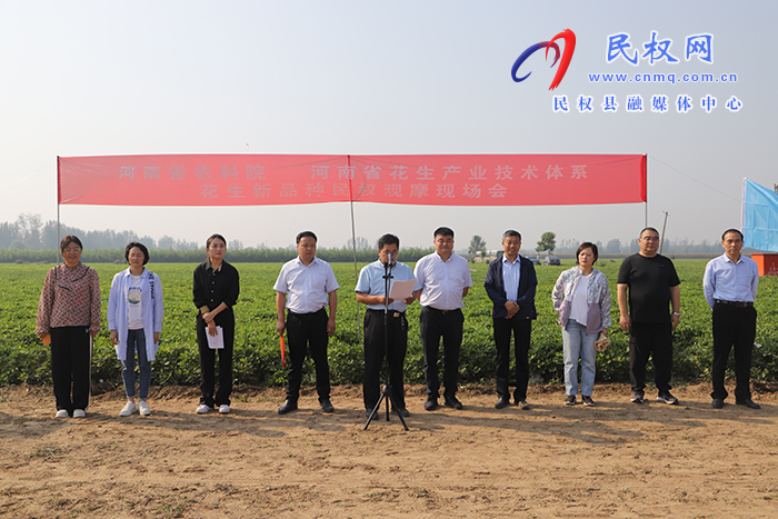 河南省農(nóng)科院 河南省花生產(chǎn)業(yè)技術(shù)體系花生新品種民權(quán)觀摩現(xiàn)場會舉行