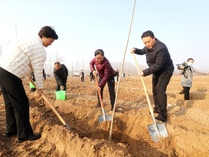 民權(quán)縣開展2024年春季義務(wù)植樹活動