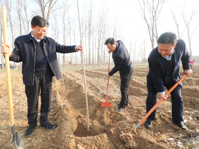 民權(quán)縣開展2024年春季義務(wù)植樹活動