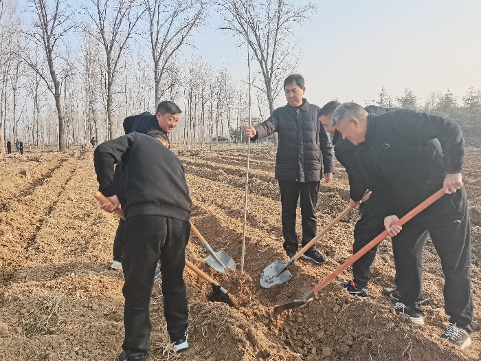 民權(quán)縣開展2024年春季義務(wù)植樹活動