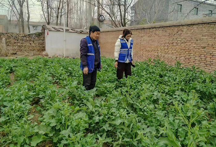 人和鎮(zhèn)：禁種鏟毒在行動(dòng) 全面踏查無(wú)死角