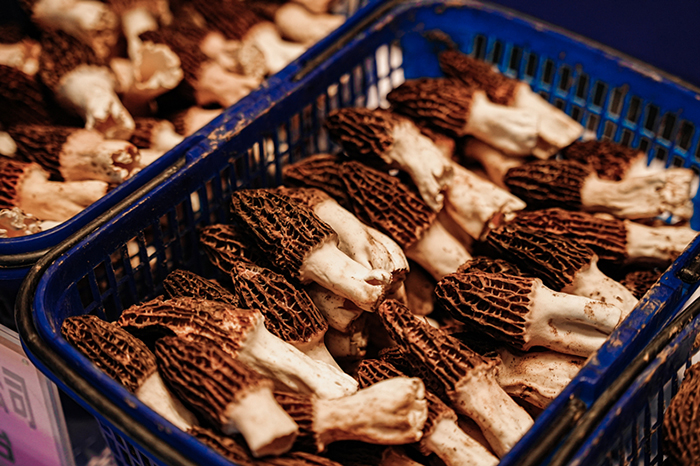 發(fā)展林下食用菌經(jīng)濟打造鄉(xiāng)村振興新引擎