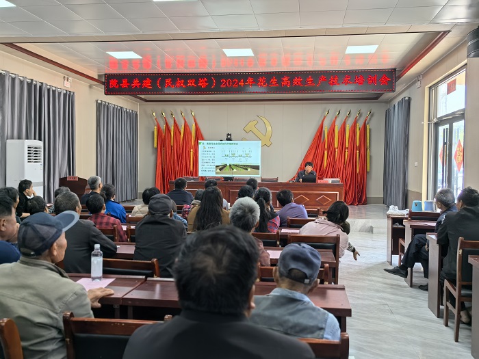 雙塔鎮(zhèn)：舉辦花生高產栽培技術培訓會