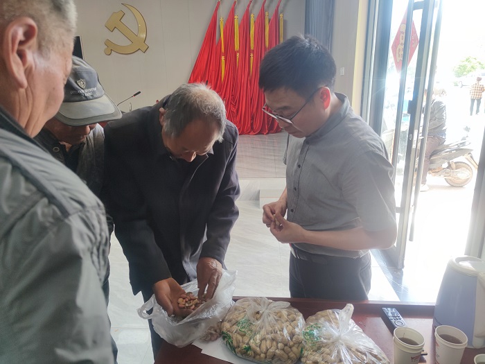 雙塔鎮(zhèn)：舉辦花生高產栽培技術培訓會