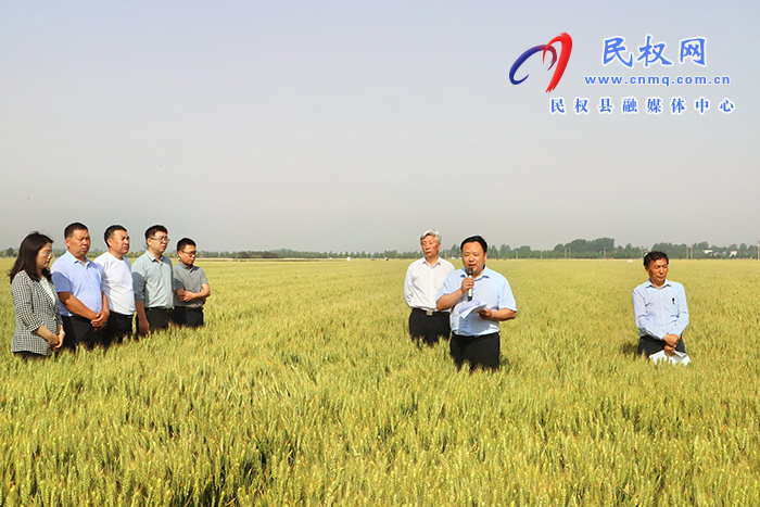 全省優(yōu)質(zhì)小麥單產(chǎn)提升暨規(guī)?；唵紊a(chǎn)現(xiàn)場(chǎng)觀摩會(huì)在民召開